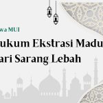 Standar Sertifikasi Halal Kosmetika Yang Tidak Tembus Air